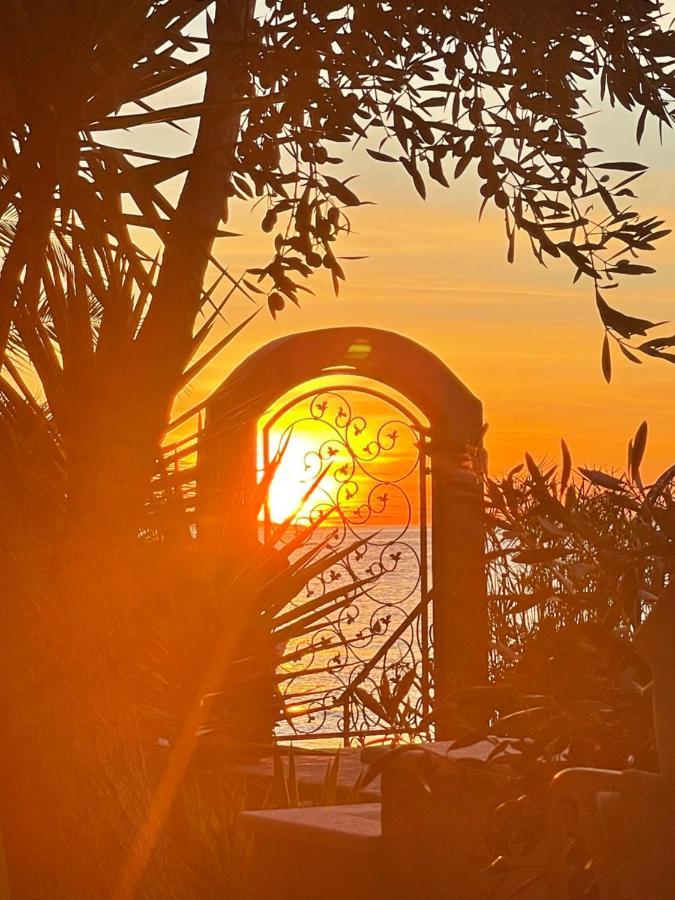 Villa Maris- Beachfront Villa With Exclusive Pool Подстрана Екстериор снимка
